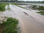 flooded fields